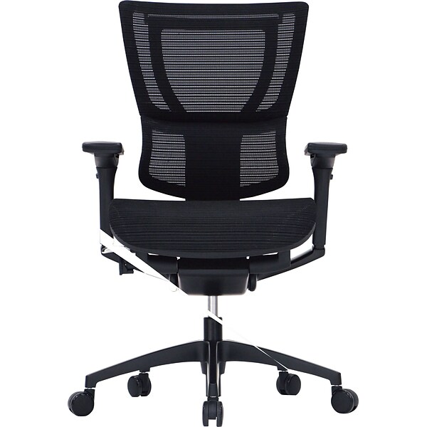Raynor Eurotech iOO Series Mid-Back Managers Chair, Mesh, Black with Black Frame
