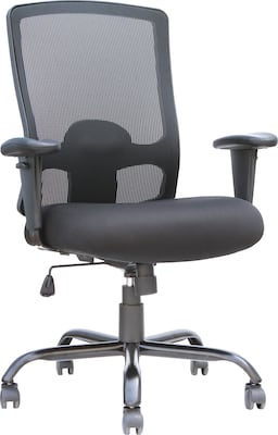 Raynor Marketing Eurotech Plastic/Poly Computer & Desk Big & Tall Chair, Black (BT-350)