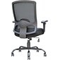 Raynor Marketing Eurotech Plastic/Poly Computer & Desk Big & Tall Chair, Black (BT-350)