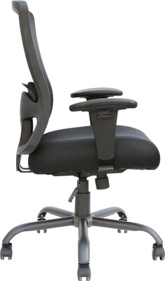 Raynor Marketing Eurotech Plastic/Poly Computer & Desk Big & Tall Chair, Black (BT-350)