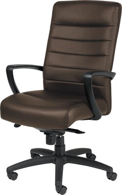 Raynor Eurotech Manchester High Back Executive Chair, Leather, Brown, Seat: 21W x 20D, Back: 20W x 23 1/2H