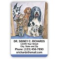 Medical Arts Press® 2x3 Glossy Full-Color Veterinary Magnets; Many Pets