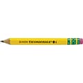 Dixon Ticonderoga® Golf Pencils, No. 2