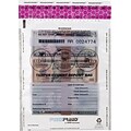 MMF Industries™ FREEZFRAUD® Tamper-Evident Deposit Bags, Clear, 12H x 9W