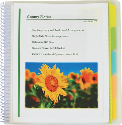 C-Line 10-Pocket Portfolio Folder with Write-On Tabs, Clear (CLI33650)