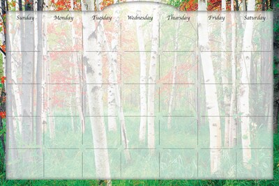 Biggies- Dry Erase Stickie Monthly Calendar, Aspen Grove, 36"