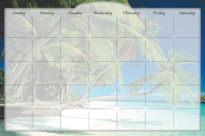 Biggies, 3W x 2H, Film Dry Erase Stickie Monthly Calendar, Beach Island (DC-BHI-36)
