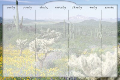 Biggies Desert Cactus, 48 x 32, Film Dry Erase Stickie Monthly Calendar (DC-DTC-48)