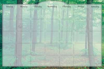 Biggies Dry-Erase 36" x 24" Film Stickie Monthly Calendar, Forest Mist (DC-FTM-36)