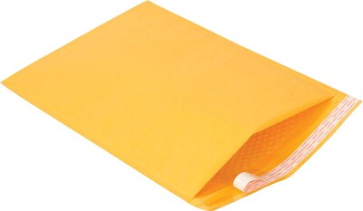 12-1/2 x 18  Self-Seal Bubble Cushioned Mailers, #6, 25/Pack (51985)