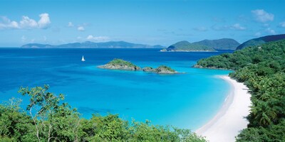 Biggies-Wall Mural-Island-Cove 80" x 40"