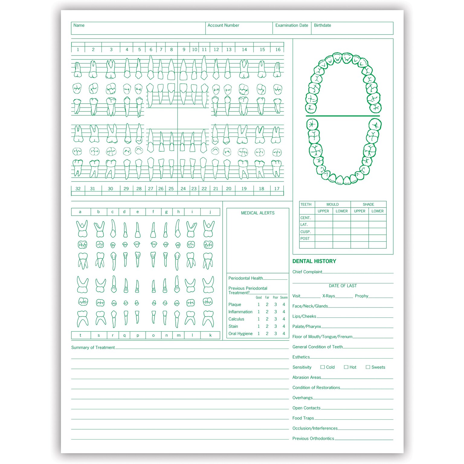 Medical Arts Press® Dental Exam Chart; Vertical