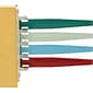 Contemporary Colors Exam Room Signals, 4 Flags (I4CF169774)