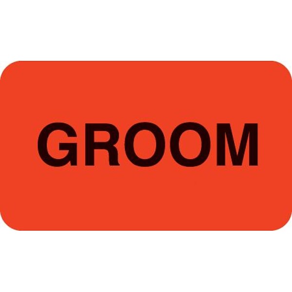Behavior and Instruction Medical Labels, Groom, Fluorescent Red, 7/8x1-1/2, 500 Labels