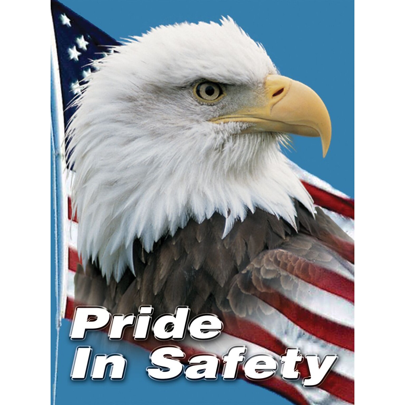 Accuform Signs® Safety Poster, PRIDE IN SAFETY, 24 x 18, Laminated Flexible Plastic, Each