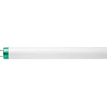 Philips Linear Fluorescent T8 Longer Life Lamp, 32 Watts, 30/Carton (281659)