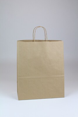 Escort Shopper 13 x 7 x 17 Kraft Paper Shopping Bags, Brown, 250/Carton (KRAFT13717)