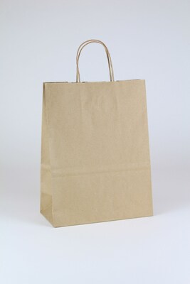 Lindsey Shopper 13 x 10 x 5 Kraft Paper Shopping Bags, Brown, 250/Carton (KRAFT10513)