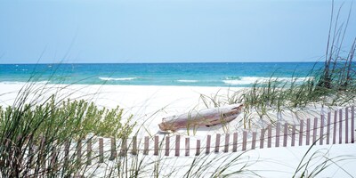 Biggies - Wall Mural-S Carolina Coast 80" x 40"