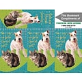 Humorous 3-Up Laser Postcards with Bookmark, Go to the Vet, 150 Postcards/Pack