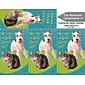 Humorous 3-Up Laser Postcards with Bookmark, Go to the Vet, 150 Postcards/Pack