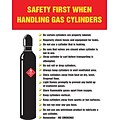 ACCUFORM SIGNS® Safety Poster, SAFETY FIRST WHEN HANDLING GAS CYLINDERS, 12x9, Laminated Plastic