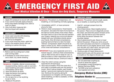ACCUFORM SIGNS® Safety Poster, EMERGENCY FIRST AID, 18 x 24, Laminated Flexible Plastic, Each