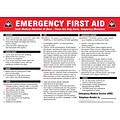ACCUFORM SIGNS® Safety Poster, EMERGENCY FIRST AID, 18 x 24, Laminated Flexible Plastic, Each