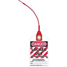 Accuform Loop n Lock Tie Tags, DANGER LOCKED OUT DO NOT REMOVE, RP-Plastic, 10/Pack (TAK645)
