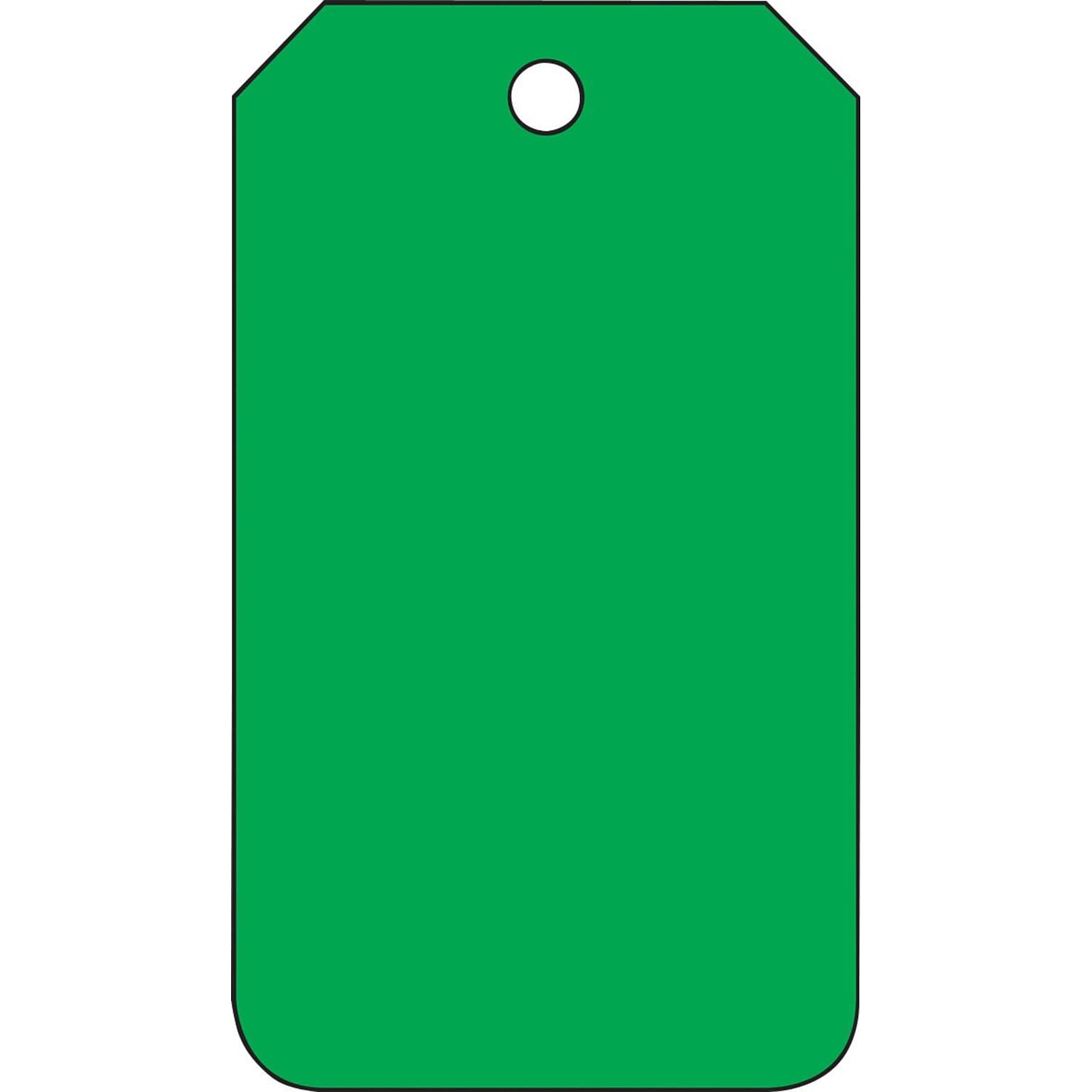 Accuform Solid Color Blank Tag, Green, 5¾ x 3¼, PF-Cardstock, 25/Pack (MDT527CTP)