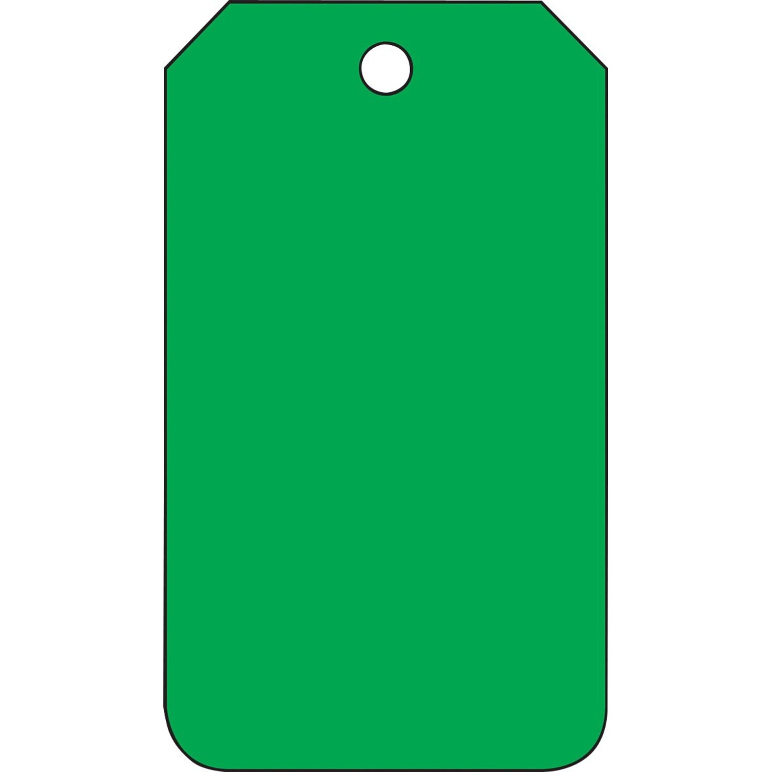 Accuform Solid Color Blank Tag, Green, 5¾ x 3¼, PF-Cardstock, 25/Pack (MDT527CTP)