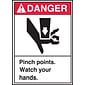 Accuform Safety Label, DANGER PINCH POINTS WATCH YOUR HANDS, 5" x 3 1/2", Adhesive Vinyl, 5/Pack (LEQM013VSP)