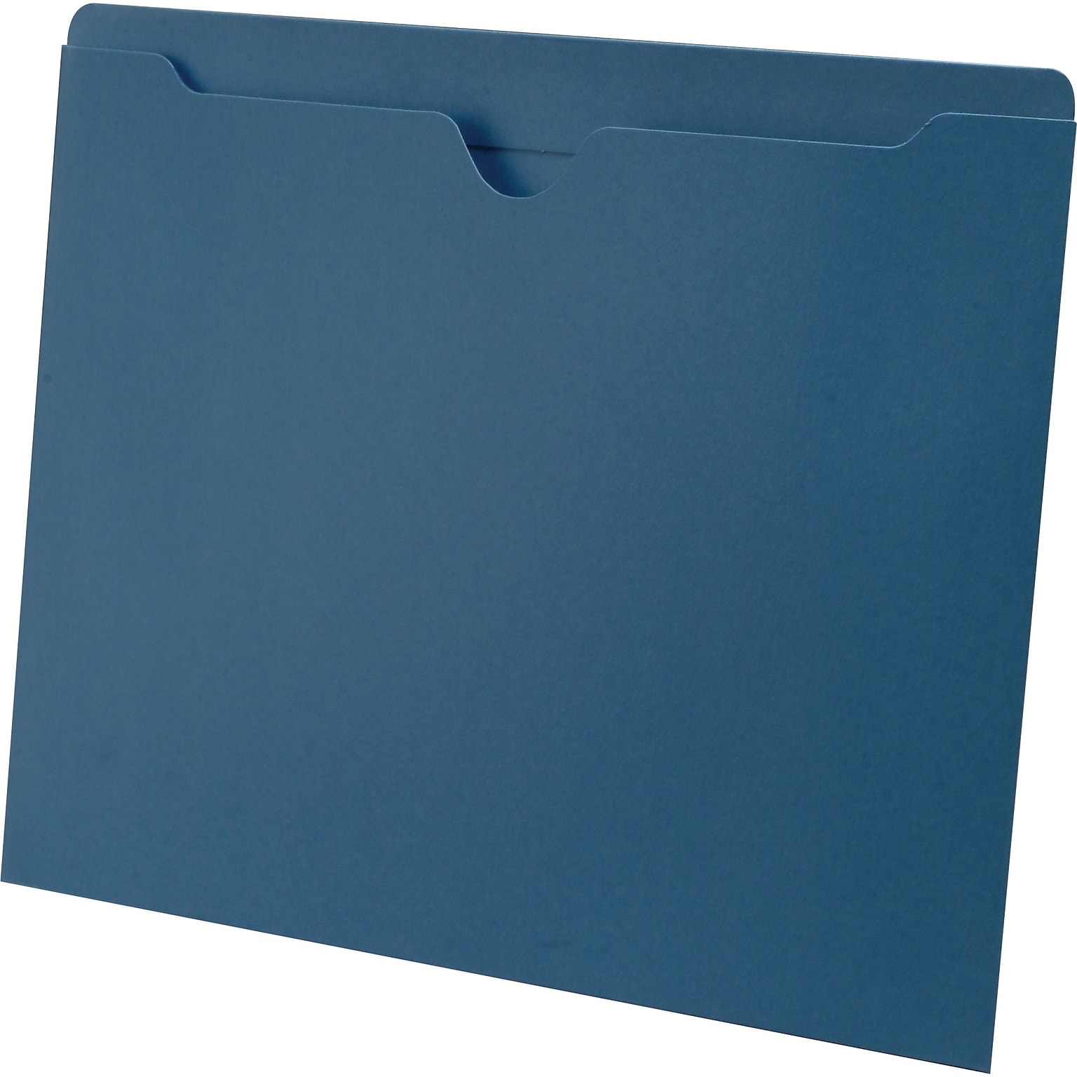Medical Arts Press®  File Pocket, Letter Size, Blue, 100/Box (55475BE)