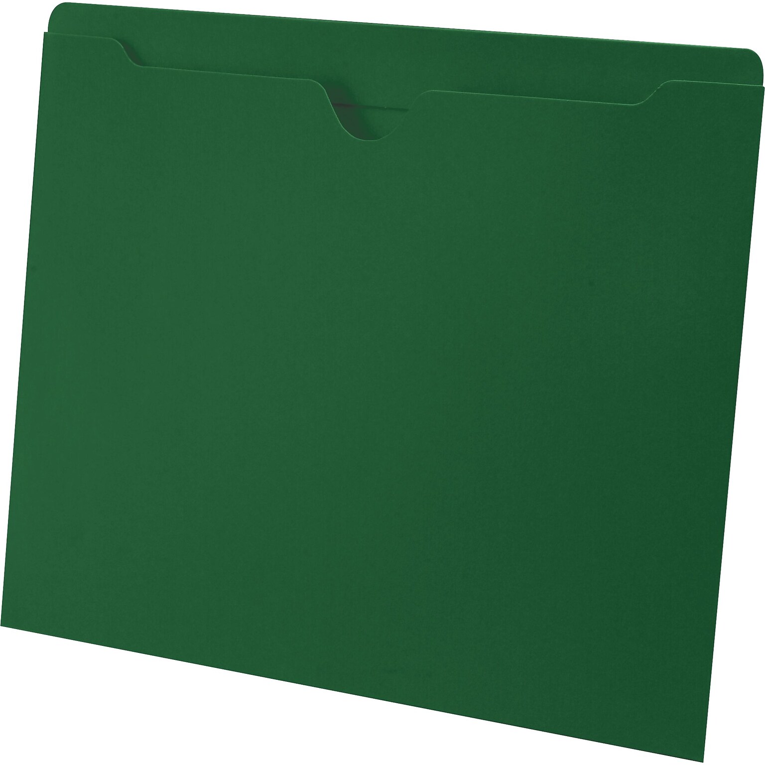 Medical Arts Press®  File Pocket, Letter Size, Green, 100/Box (55475GN)