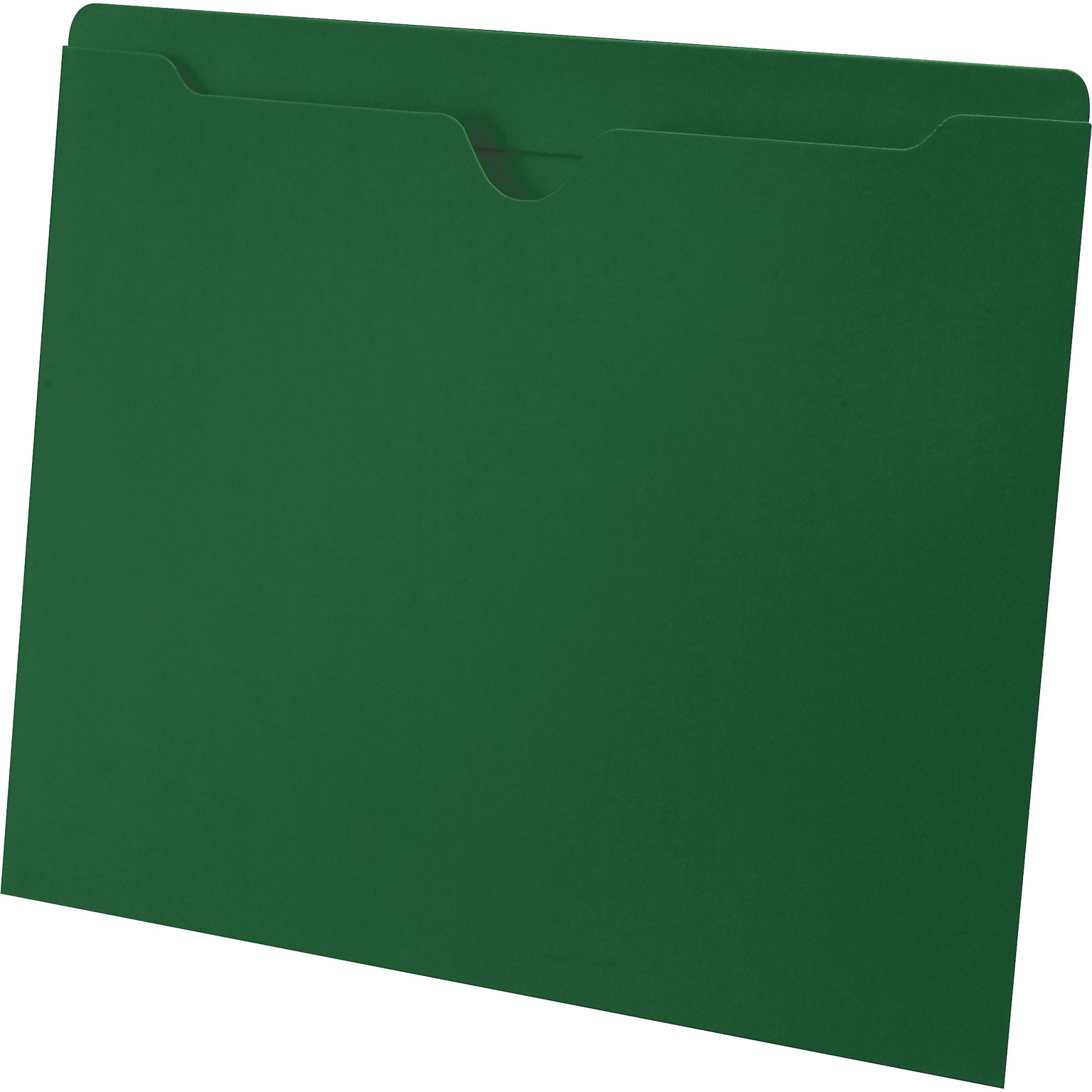 Medical Arts Press®  File Pocket, Letter Size, Green, 100/Box (55475GN)