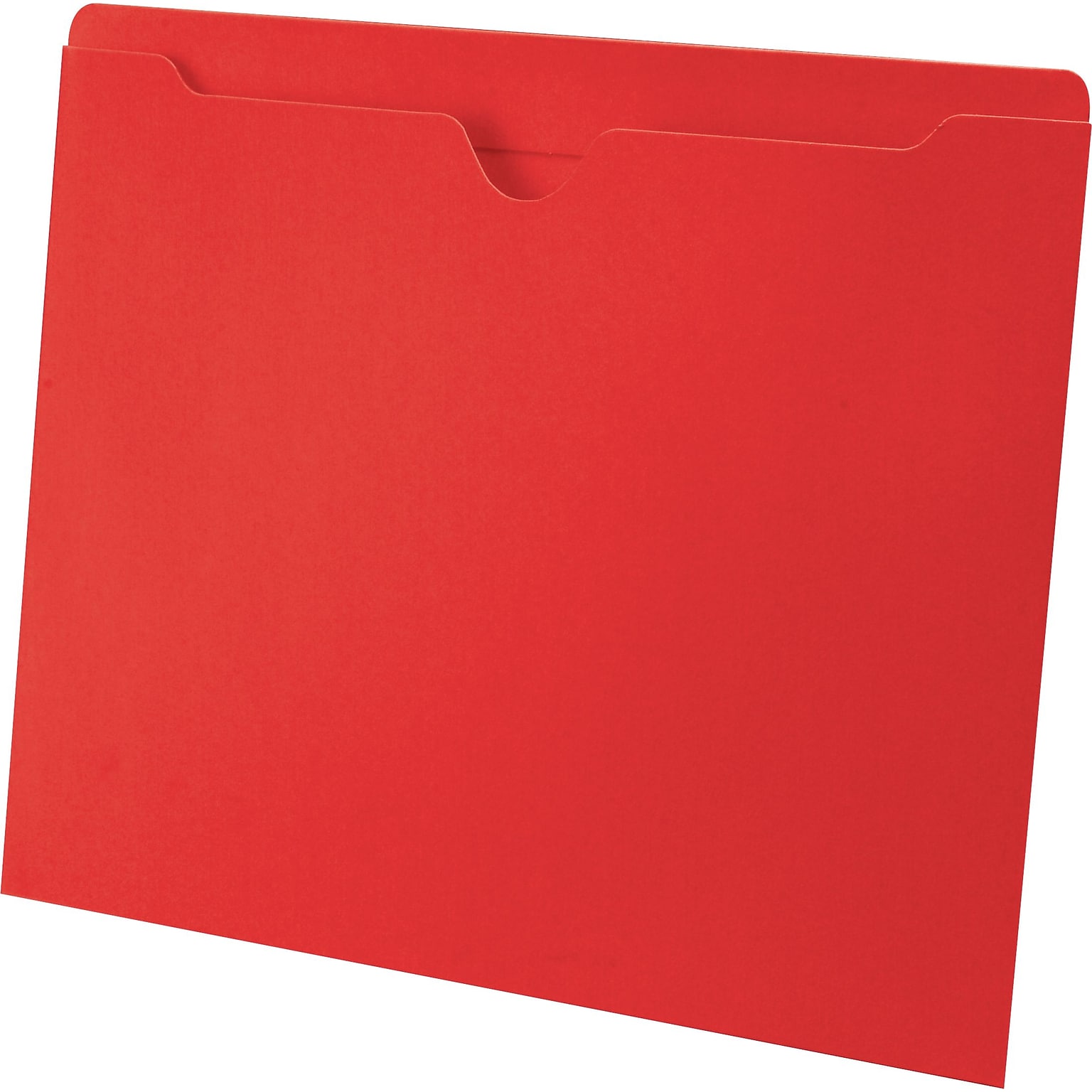 Medical Arts Press®  File Pocket, Letter Size, Red, 100/Box (55475RD)