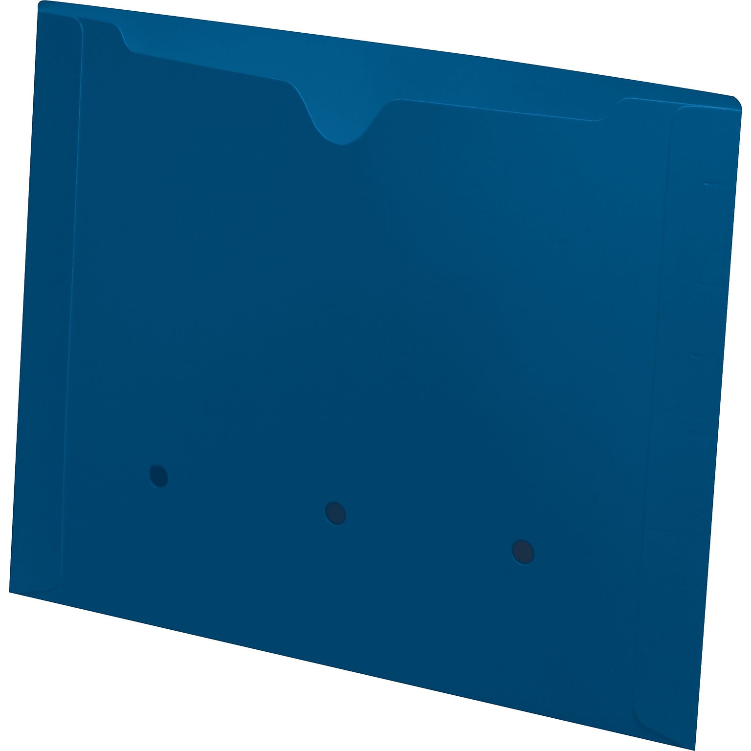 Medical Arts Press®  File Pocket, Letter Size, Blue, 50/Box (52394BE)