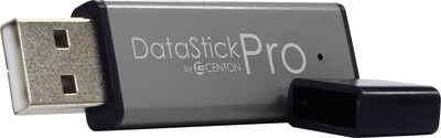 Centon DataStick Pro 64GB USB 2.0 Flash Drive (DSP64GB-001)