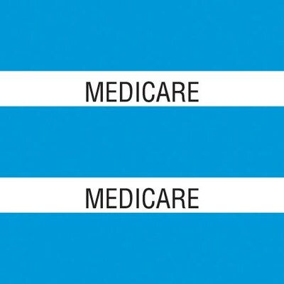 Medical Arts Press® Large Chart Divider Tabs; Medicare, Lt. Blue