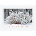 Holiday Expressions® Holiday Cards; Winter Perch, Gummed Envelopes