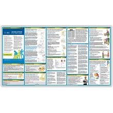 ComplyRight™ Safety Posters, All-In-One Safety Poster (WR0430)