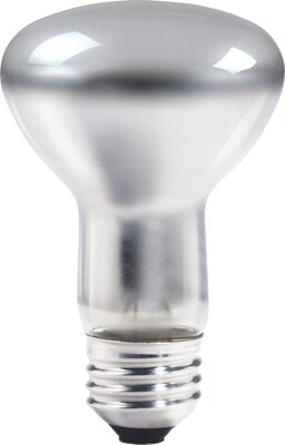 Philips® 45W Incandescent R20 Light Bulb, Medium Screw Base, 12/Pack (203224)