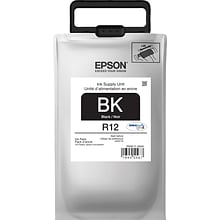 Epson R12 Black Standard Yield Ink Cartridge