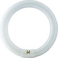 Philips Fluorescent Light Bulb, T9, 22 Watts, 8 Outside Diameter, 12PK