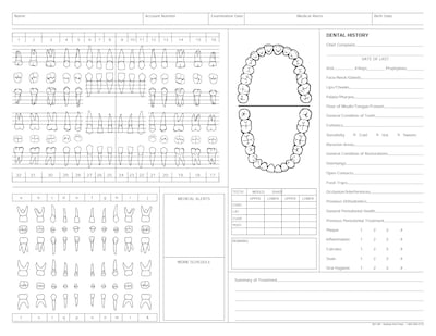 Medical Arts Press® Dental Chart, Treatment Notes, Green, No Punch