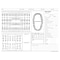 Medical Arts Press® Dental Chart, Treatment Notes, Green, No Punch
