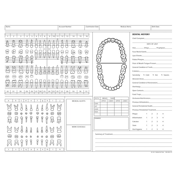 Medical Arts Press® Dental Chart, Treatment Notes, Green, No Punch