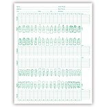 Medical Arts Press®  Dental Periodontal Chart
