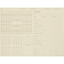 Medical Arts Press® General Dental Exam Chart,  Ivory