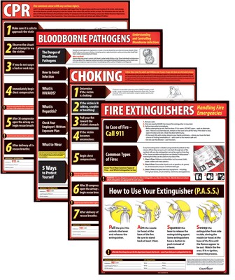 ComplyRight™ Lifesaving Posters; 4 Poster Set, CPR, Choking, Bloodborne Pathogens, Fire Extinguisher (WR0242)